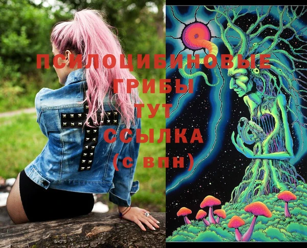твердый Кинешма