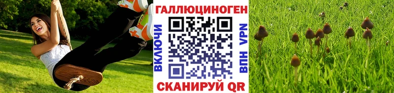 Псилоцибиновые грибы Magic Shrooms  Купить  Орехово-Зуево 